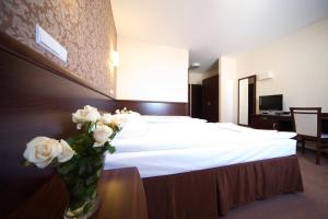 Superior Twin or Double Room room in Hotel Centrum