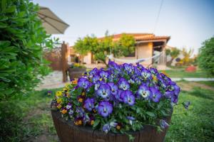 Ancient Corinth Guest House Korinthia Greece