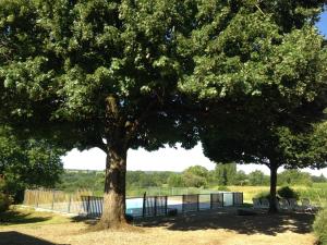 Maisons de vacances Le Domaine du Bel Air : photos des chambres