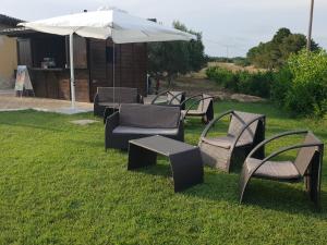 Agriturismo lOlivo