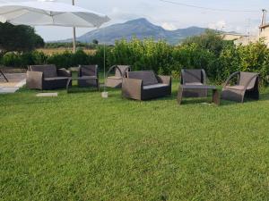 Agriturismo lOlivo