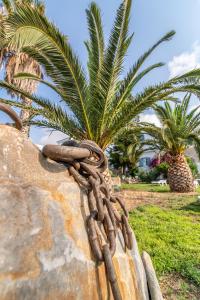 Didymes Studios Tinos Greece