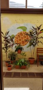 Hostel Dodero