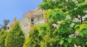 Milonas Villas Thassos Greece