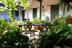 Hotel Mision Santa Barbara RNT 4799