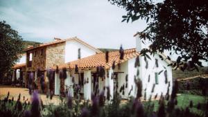 El Pueblito Hotel Boutique