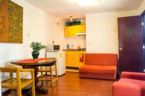 Suite 2B, Vista, Garden House, Welcome to San Angel