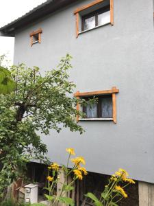 Yeti (snowman) Guest House