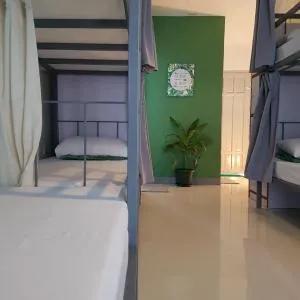 Green Turtle Backpackers Guesthouse, Puerto Princesa - Tiniguiban