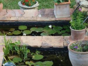 Les Vignes de Terrisse