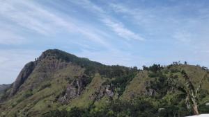 Jaye Homestay