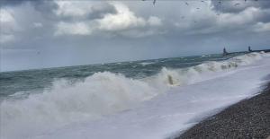 Villas Aux Premieres Loges : photos des chambres