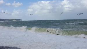 Villas Aux Premieres Loges : photos des chambres