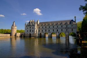 Maisons de vacances La Tribu de Beauval 6ch grand terrain et parking prive : photos des chambres