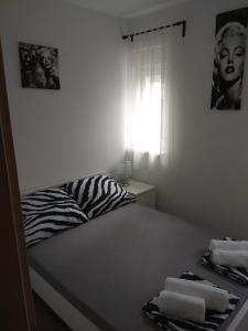 Apartment Domagoj, Novalja