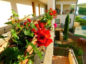 Pension Laura Cheile Turzii