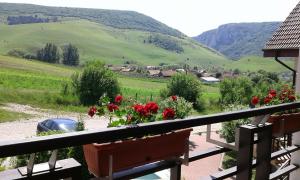 Pension Laura Cheile Turzii