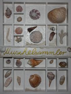 Immenhagen Ferienwohnungen