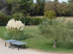 Maisons de vacances Les Bougainvillees de Camargue : photos des chambres