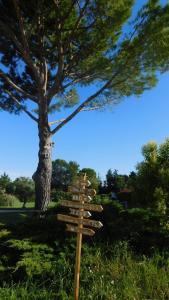 Maisons de vacances Les Bougainvillees de Camargue : photos des chambres