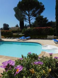 Maisons de vacances Les Bougainvillees de Camargue : photos des chambres