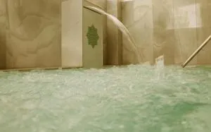 Balneario de Alhama de Granada - Cacin