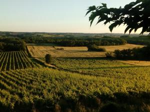 Les lodges d'Adelaide : photos des chambres