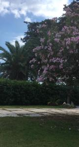 Dolce Bungalow R5915 img13