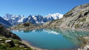 Chamois Blanc