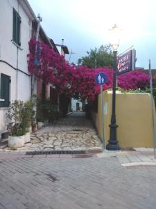 odys apartment centrer of town