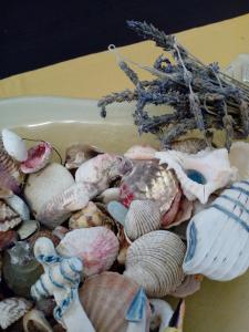 odys apartment centrer of town