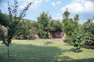 Tourist farm with Apartments Fig tree