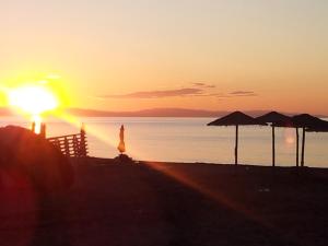 Hotel White Rose Beach Pieria Greece