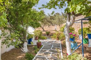 Betty Apartments Paros Greece