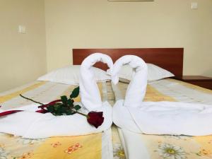 Guest House Markovi