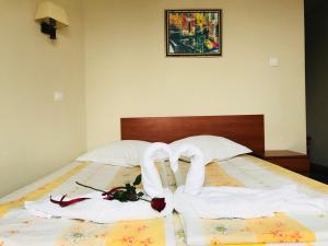 Guest House Markovi