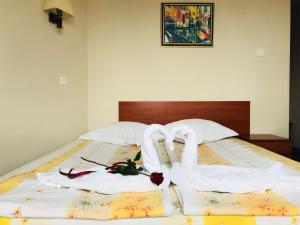 Guest House Markovi