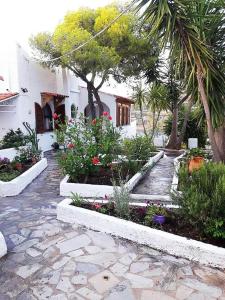 Apollonion Apartment Aigina