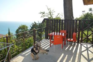 Twin Room with Bathroom room in Guest house u Ludmily