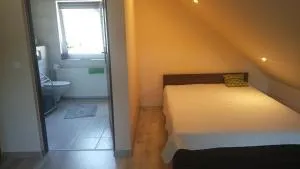 A i M - 维塞乌卡