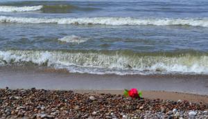 Karkle Seaside Apartments