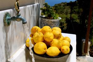 Walnut Tree Farm Kythira Greece