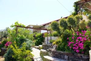 Walnut Tree Farm Kythira Greece