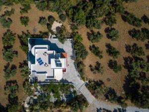 The Olive Branch Villa Kos Greece