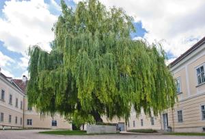 OBENauf in Unternalb