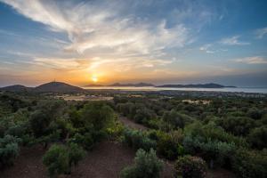 The Olive Branch Villa Kos Greece