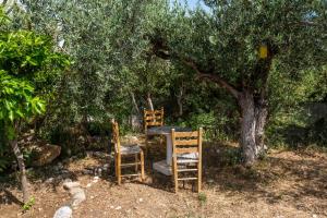 The Olive Branch Villa Kos Greece