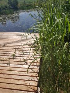 Domek Machowino w Dolinie nad Stawem