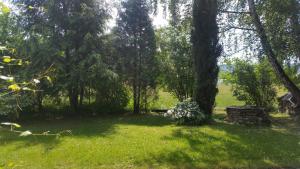 Świnna - Brzozowy Zagajnik