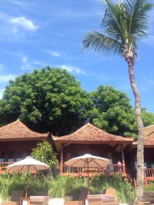 Suite Junior Nhìn Ra Hồ Bơi (Junior Suite with Pool View)